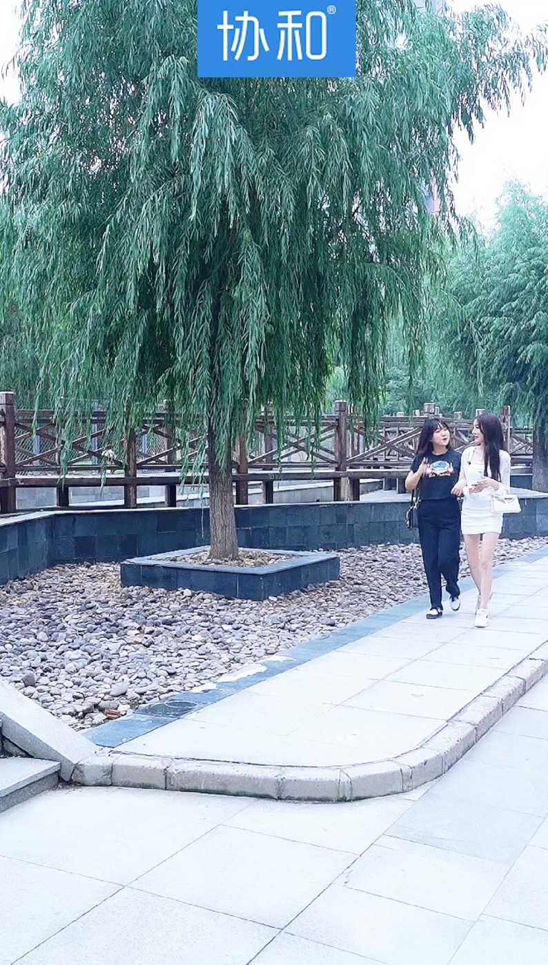 妹妹可以请你吃饭吗