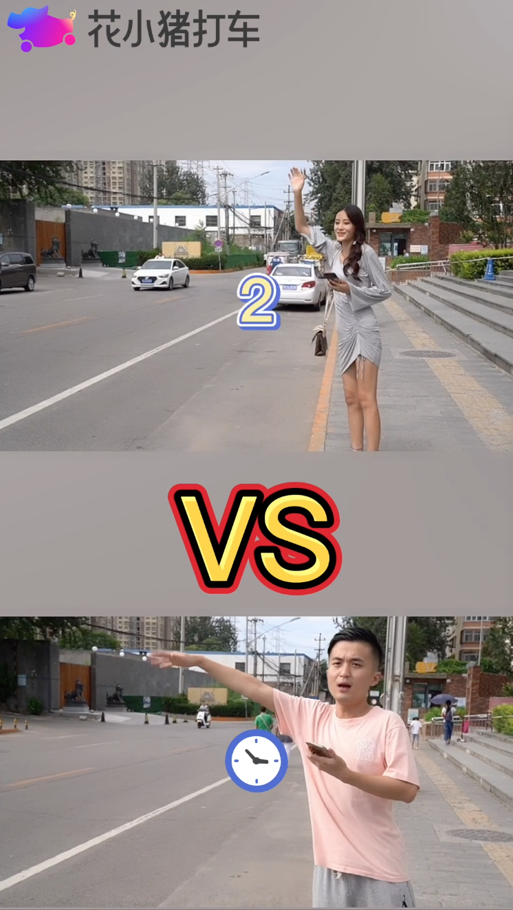 花小猪对比