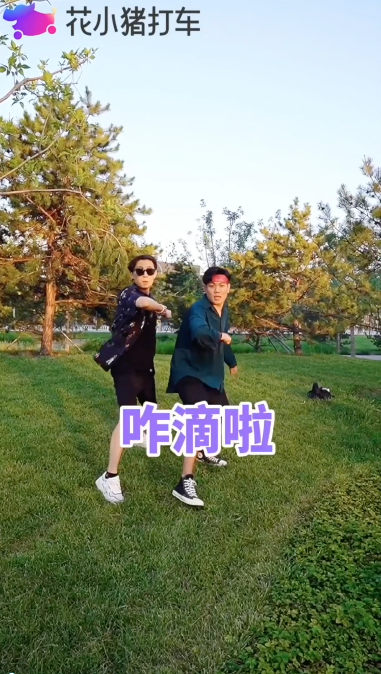 花小猪兄弟啊