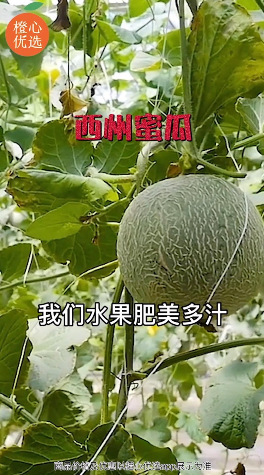 橙心优选