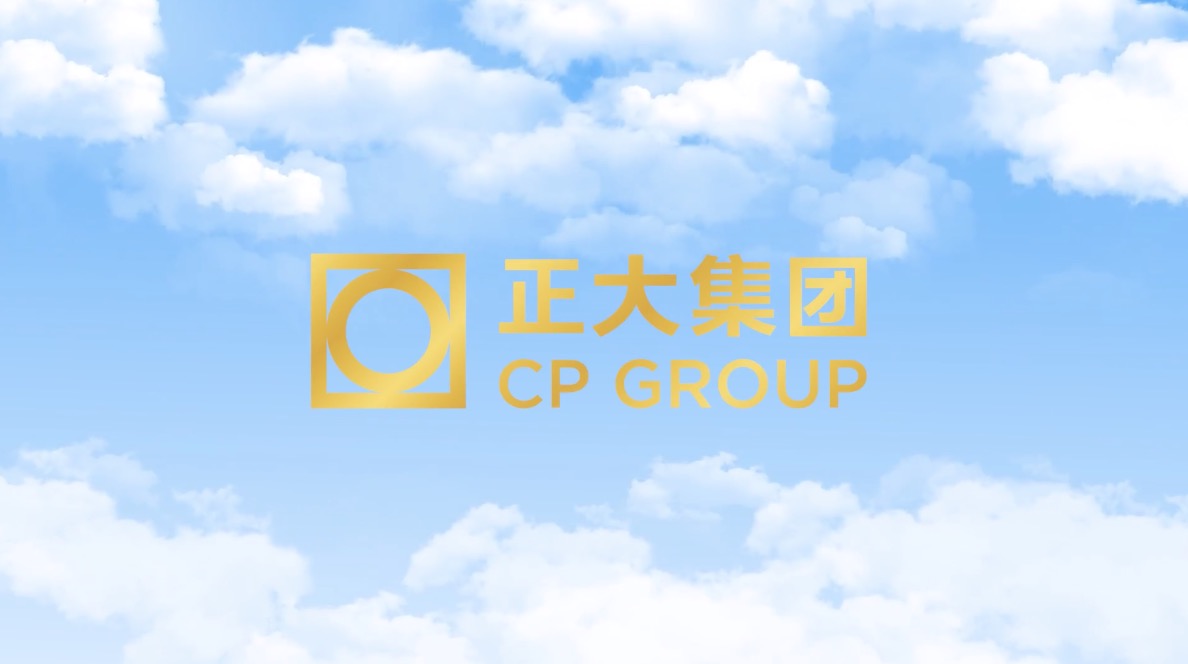 正大集团